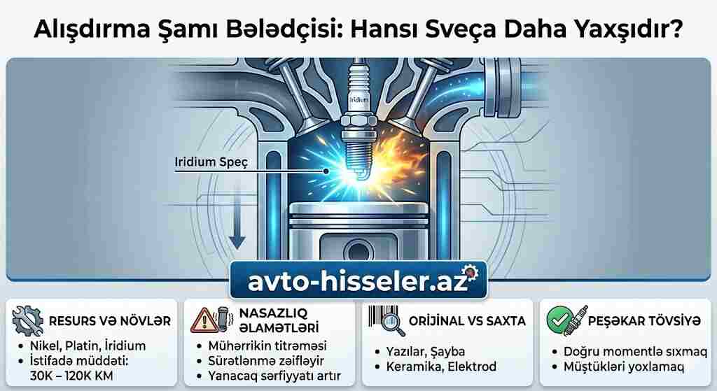 Alışdırma Şamı (Sveça) Nədir? Növləri, Resursu və Doğru Seçim Qaydaları